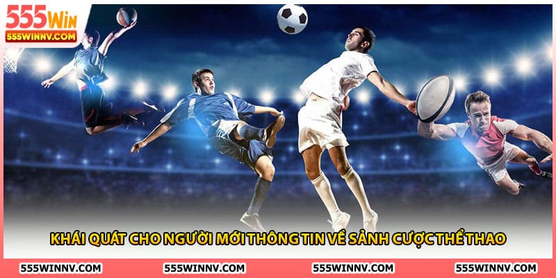 Khái quát cho người mới thông tin về sảnh cược thể thao