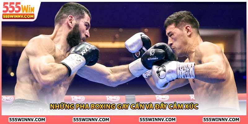 Những pha boxing gay cấn và đầy cảm xúc