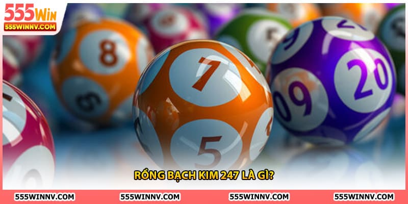 Rồng bạch kim 247 là gì?